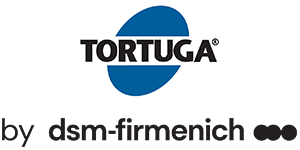 tortuga