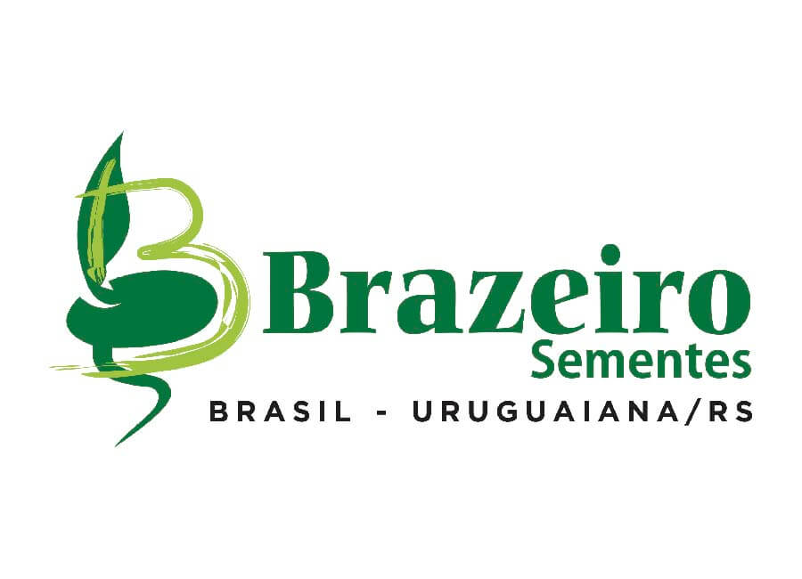 BRAZEIRO