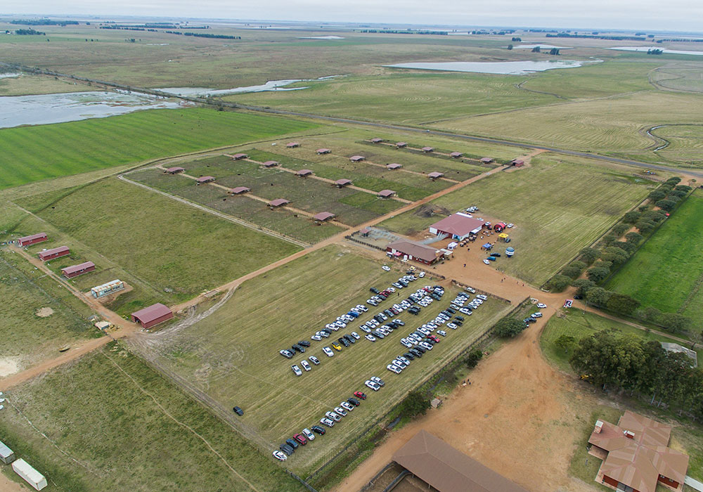 Renascer Biotecnologia campo