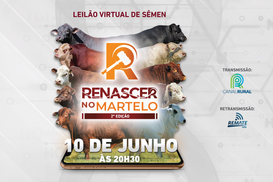 RENASCER NO MARTELO 2ª EDIÇÃO ACONTECE NO DIA 10 DE JUNHO