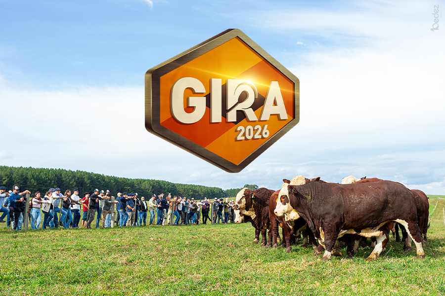 GIRA RENASCER PRODUZ+ LEVA TROCA TÉCNICA E RECONHECIMENTO PARA O CAMPO