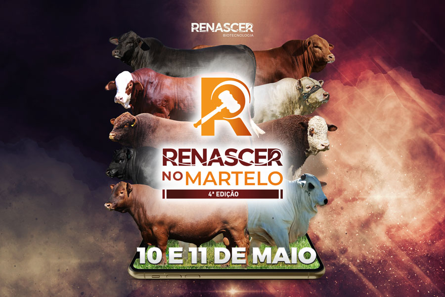 4ª edição do Renascer no Martelo será em 10 e 11 de maio